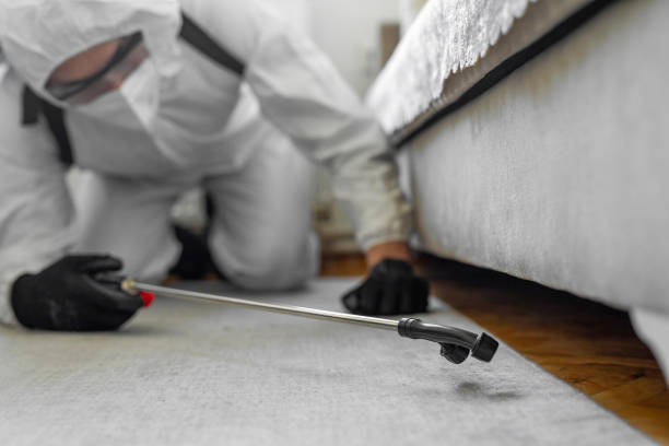 Professional Bed Bug Control technician working in Courtland, VA